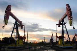 أسواق النفط بين تقرير منظمة أوبك ووكالة الطاقة الدولية