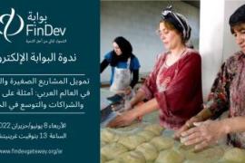 تمويل المشاريع الصغيرة والمتوسطة في العالم العربي: أمثلة على الابتكارات والشراكات والتوسع في الخدمات